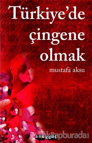 Türkiye'de Çingene Olmak %15 indirimli Mustafa Aksu