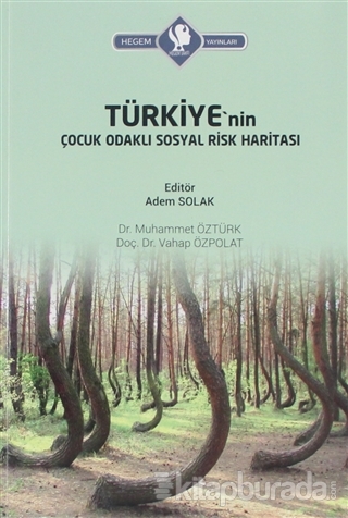 Türkiye'nin Çocuk Odaklı Sosyal Risk Haritası