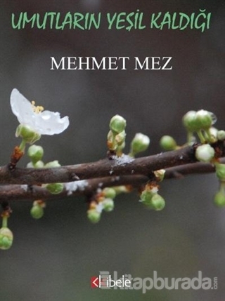 Umutların Yeşil Kaldığı Mehmet Mez