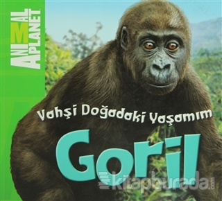 Vahşi Doğadaki Yaşamım: Goril