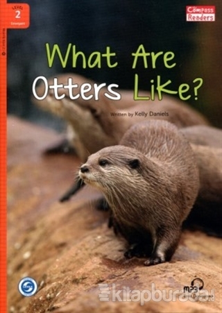 What Are Otters Like? + Downloadable Audio %15 indirimli Kelly Daniels