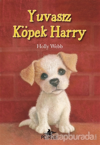Yuvasız Köpek Harry Holly Webb