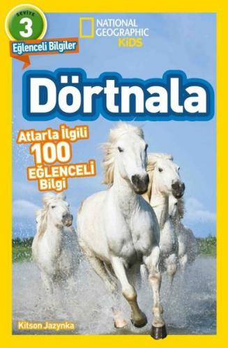 Dörtnala