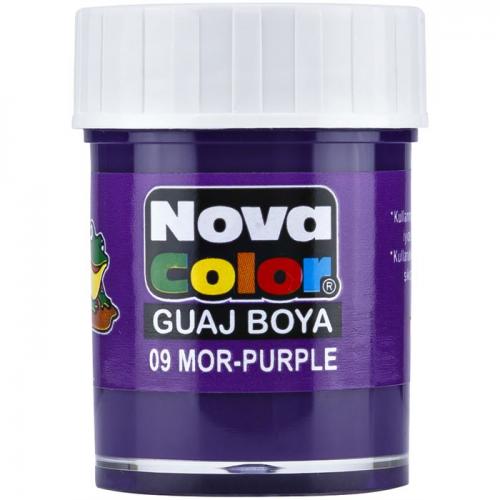 Nova Guaj Boya Mor Şişe Nc-111