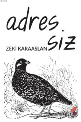 Adressiz - Kitapiks.com