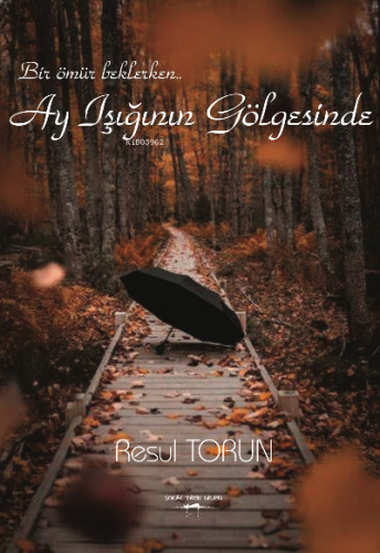 Ay Işığının Gölgesinde - Kitapiks.com