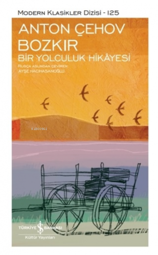 Bozkır - Bir Yolculuk Hikayesi (Şömizli) - Kitapiks.com