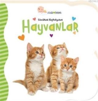 Hayvanlar - Sözcükleri Keşfediyorum