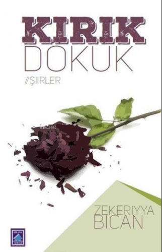Her Güne Bir Şiir