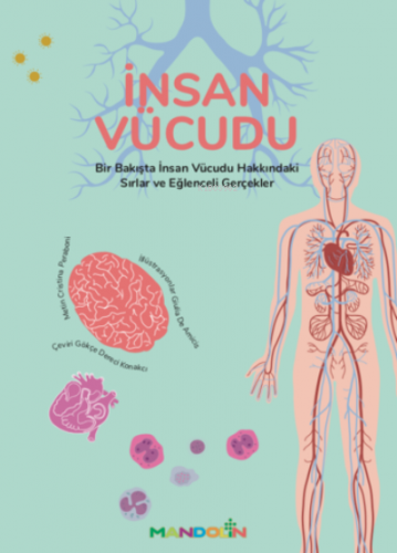 İnsan Vücudu - Kitapiks.com