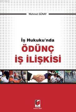 İş Hukukunda Ödünç İş İlişkisi - Kitapiks.com