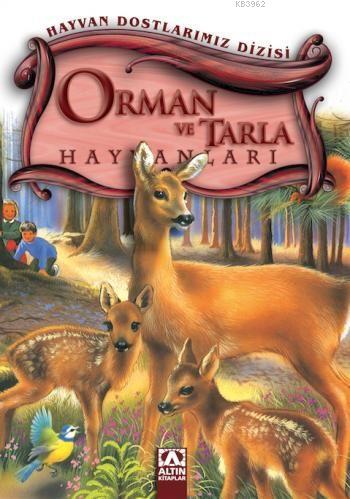 Orman ve Tarla Hayvanları; Hayvan Dostlarımız Dizisi