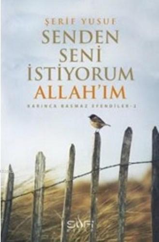 Senden Seni İstiyorum - Kitapiks.com