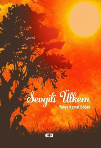 Sevgili Ülkem - Kitapiks.com
