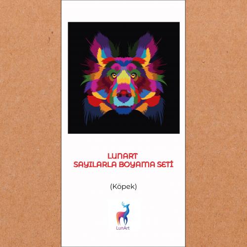Lunart Sayılarla Boyama Seti
