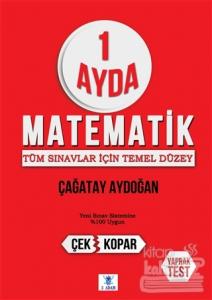 1 Ayda Matematik