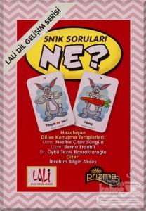 5N1K Soruları - Ne?