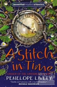 A Stitch in Time (Essential Modern Classics)