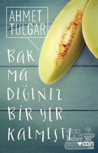 Bakmadığınız Bir Yer Kalmıştı