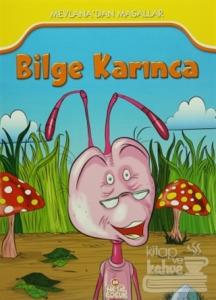 Bilge Karınca
