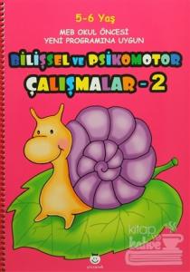 Bilişsel ve Psikomotor Çalışmalar - 2
