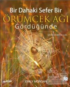 Bir Dahaki Sefer Bir Örümcek Ağı Gördüğünde