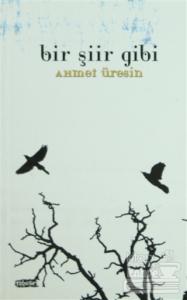 Bir Şiir Gibi