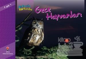 Bir Zamanlar Korkardım - Gece Hayvanları