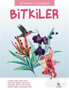 Bitkiler