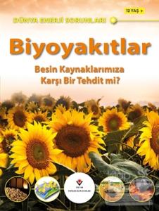 Dünya Enerji Sorunları: Biyoyakıtlar
