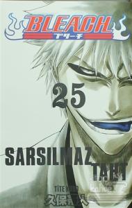 Bleach 25. Cilt