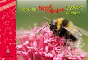 Böcekler Nasıl ve Neden Çiçeklere Konar?