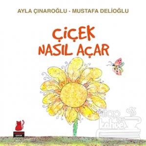 Çiçek Nasıl Açar