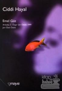 Ciddi Hayal