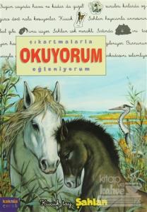 Çıkartmalarla Okuyorum Eğleniyorum -Küçük Tay Şahlan
