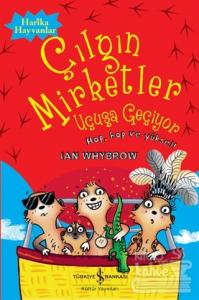 Çılgın Mirketler: Uçuşa Geçiyor