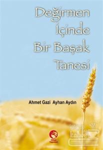 Değirmen İçinde Bir Başak Tanesi