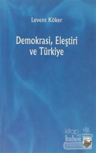 Demokrasi, Eleştiri ve Türkiye