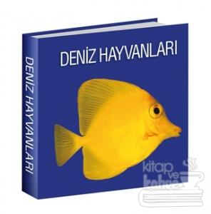 Deniz Hayvanları (Ciltli)