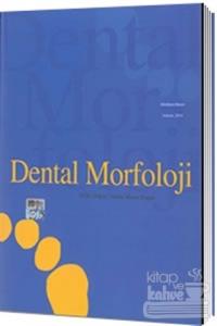 Dental Morfoloji