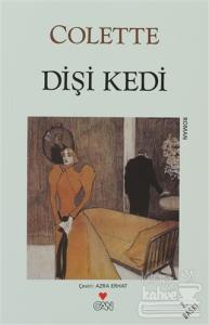 Dişi Kedi