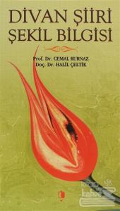 Divan Şiiri Şekil Bilgisi