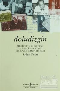 Doludizgin