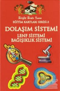 Eğitim Kartları Serisi 3 - Dolaşım Sistemi
