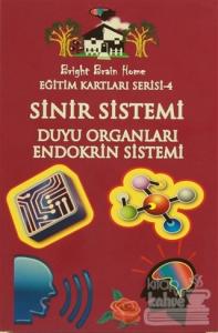 Eğitim Kartları Serisi 4 - Sinir Sistemi