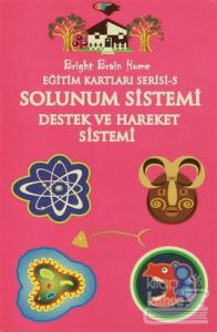 Eğitim Kartları Serisi 5 - Solunum Sistemi