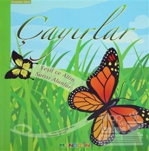 Ekosistem 2. Kitap: Çayırlar