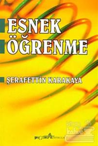 Esnek Öğrenme