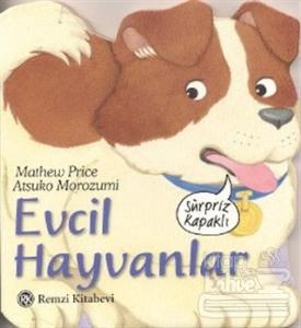 Evcil Hayvanlar