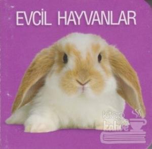Evcil Hayvanlar (Ciltli)